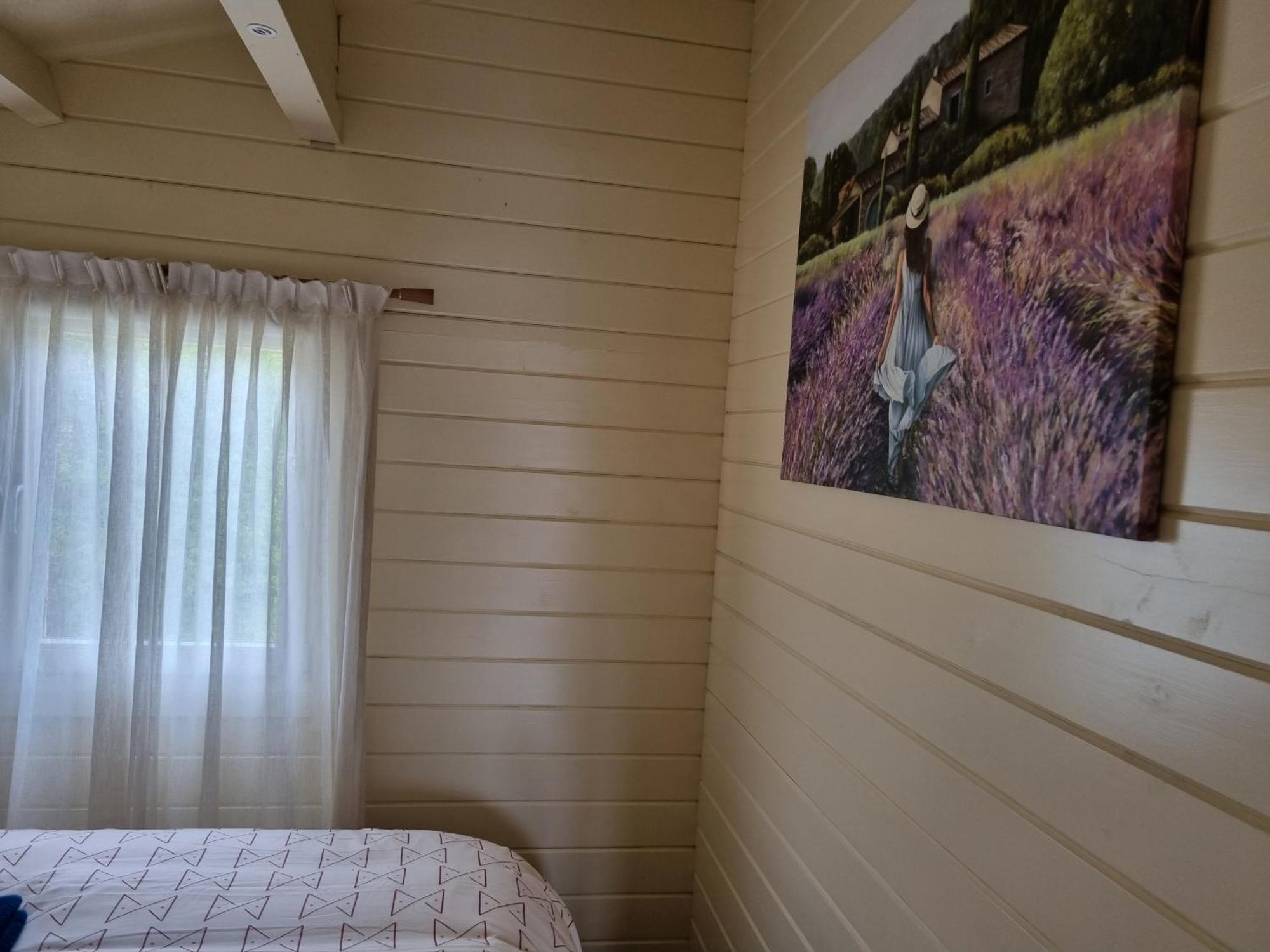 Nieuw - Luxe Blokhut Chalet In Bosrijke Omgeving Анло Екстер'єр фото